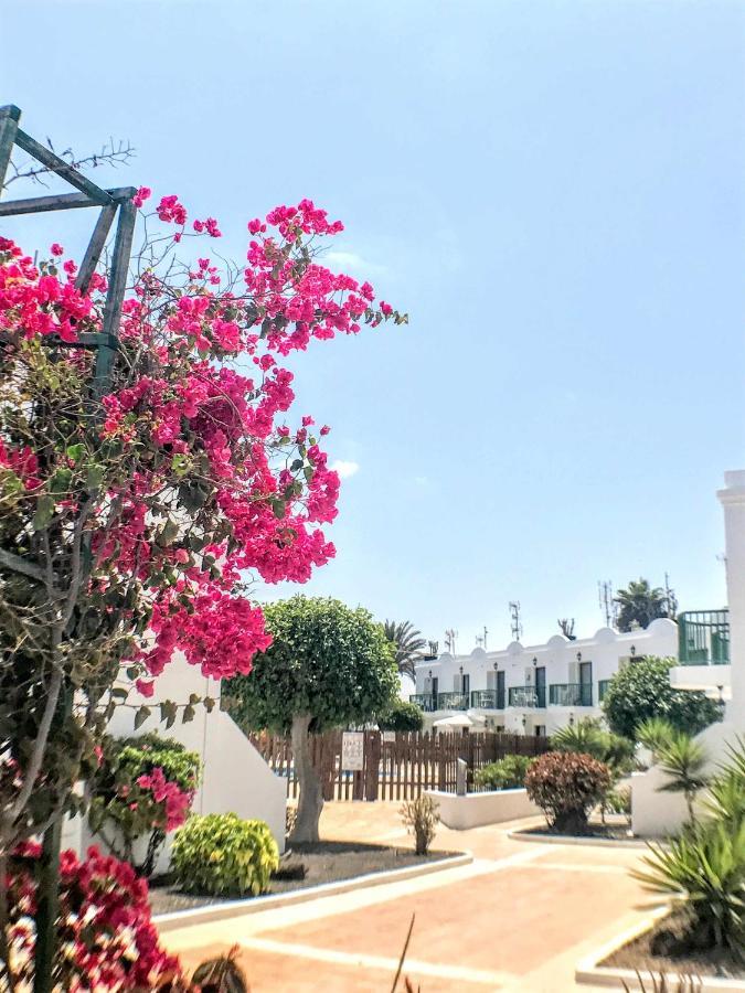 Apartament Armonia Pool View & Wi-Fi By Irent Fuerteventura Corralejo Zewnętrze zdjęcie